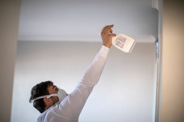 Attic Mold Removal in Tarkio, MO